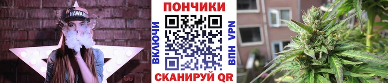 Бошки Шишки семена  Шенкурск 